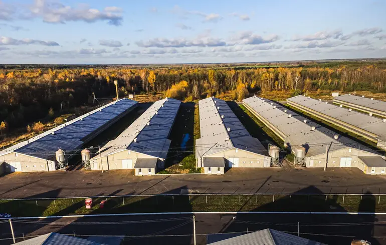 Забруднення землі фабрикою Епікур - СБУ розпочала розслідування 1