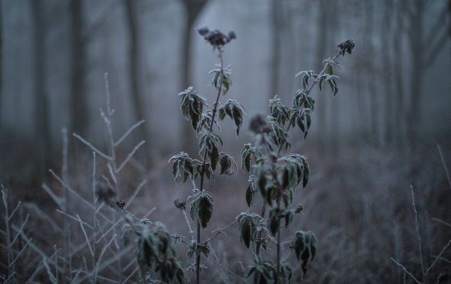 Заморозки в Україні - де оголосили попередження 1