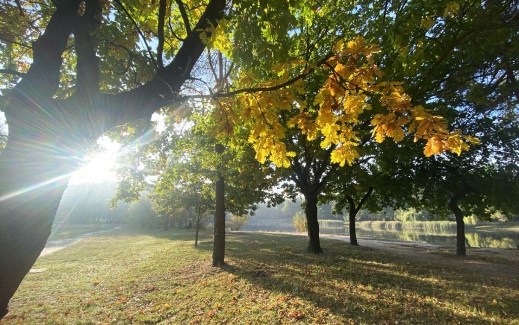 17фото УНИАН, Надя Пришляк