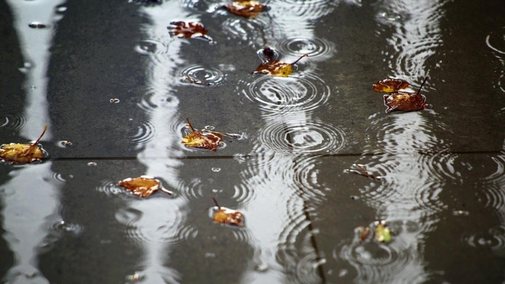 11 листопада по всій Україні пройдуть дощі / фото Pixabay