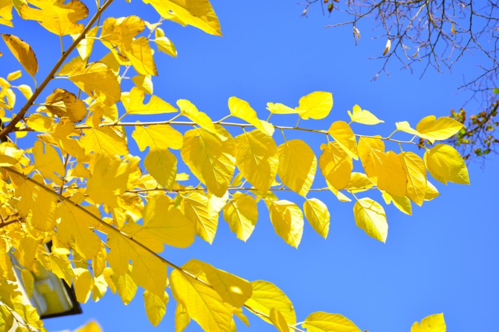 2 Фото ua.depositphotos.com