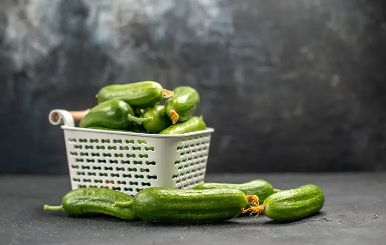 Ціна на огірки в Україні 2025 – як змінилася в листопаді, скільки коштує цей овоч – новини України 1