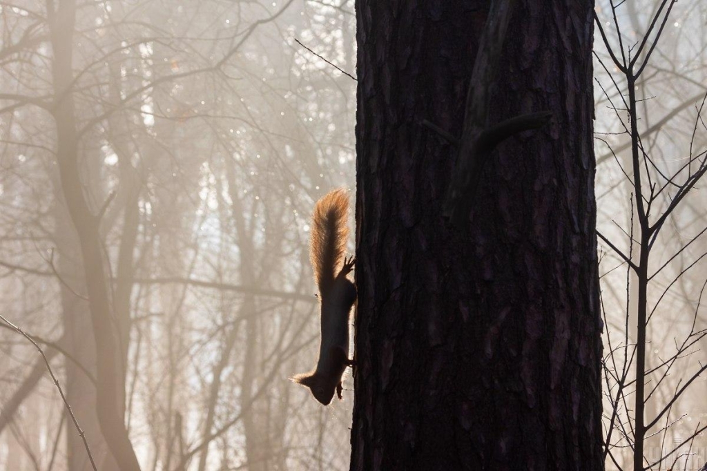 У фото УНІАН