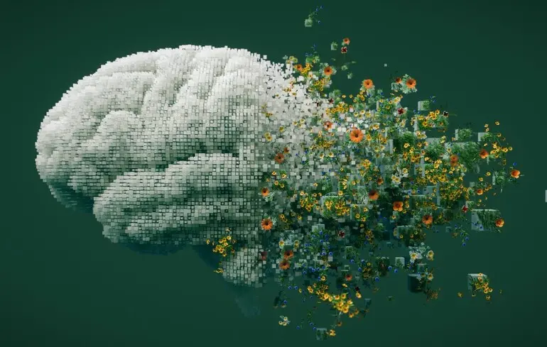 Дефіцит поживних речовин призводить до старіння мозку молоді - брак холіну та ожиріння шкодять здоров'ю - новини науки 1