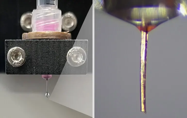 Комар допоможе у пересадці органів - вчені створили 3D-сопло з хоботка Aedes aegypti - новини науки 1