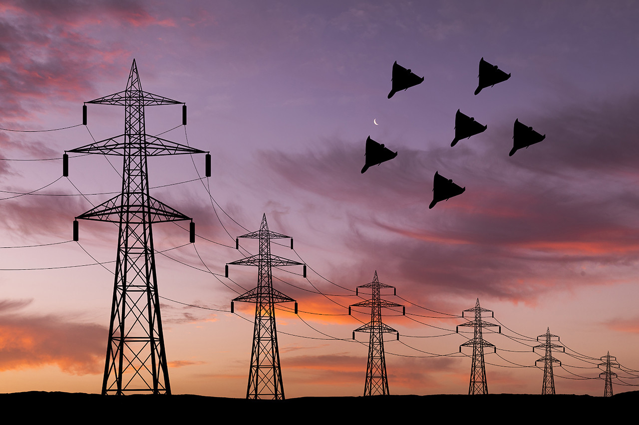 На 24 листопада оголошено графіки відключень світла 1