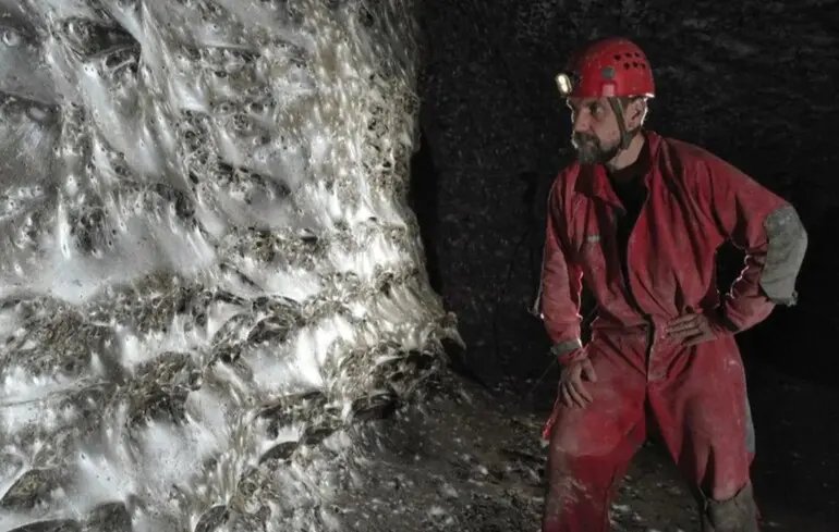 Найбільша павутина у світі - де розташовується павутиння, в якому живе 111000 павуків - фото 1