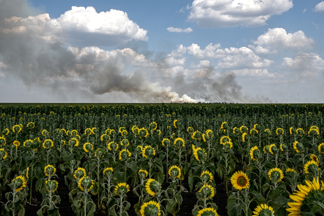 Найкращі фото 2025 року за версією TIME - п'ять з них зроблено в Україні - фото 1