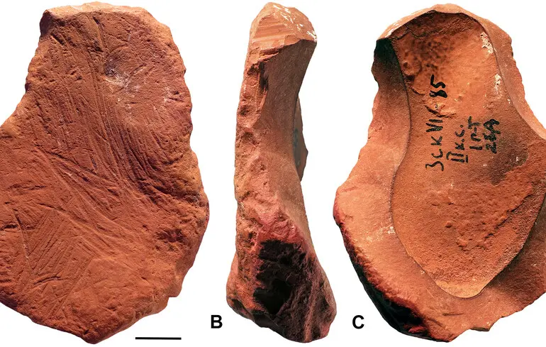 Неандертальці створювали мистецтво - в Криму знайшли 70-тисячолітню крейду - новини науки 1