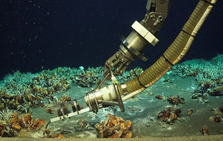 Підводна аномалія біля Папуа-Нової Гвінеї - вчені знайшли незвичайні умови на морському дні 1