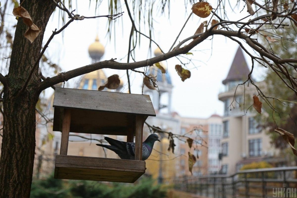 Погода буде контрастною: синоптикиня розповіла, кому пощастить провести теплі вихідні