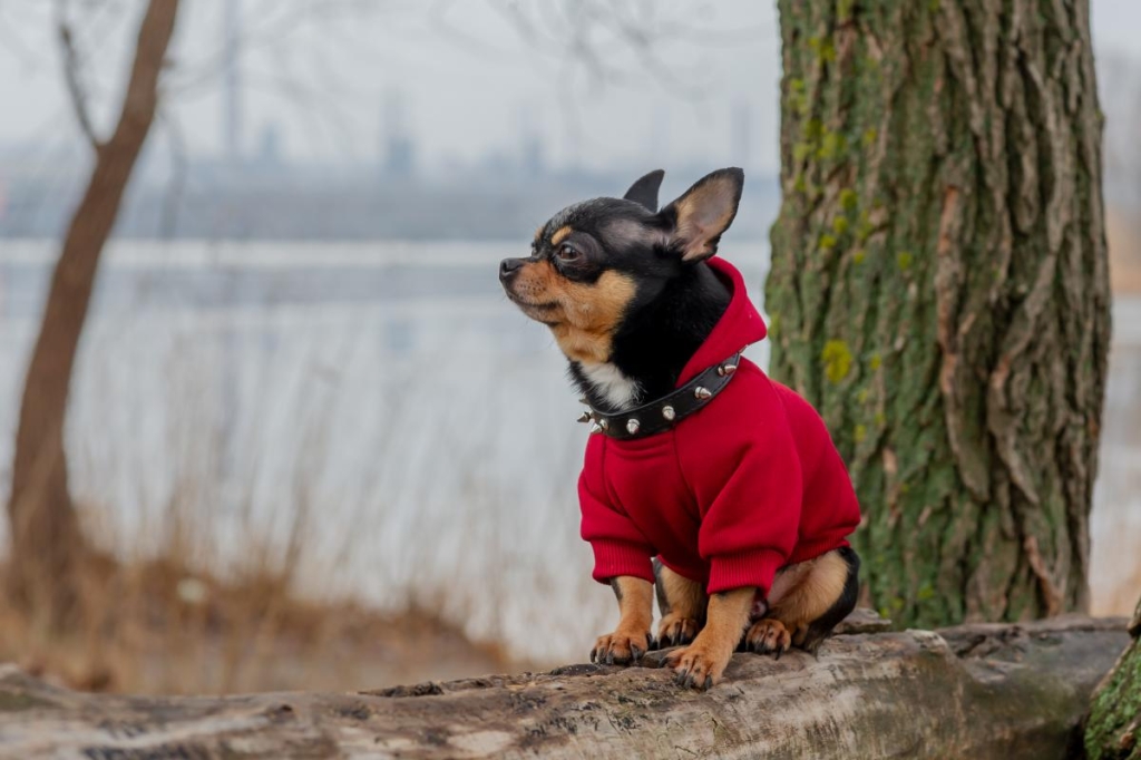 1фото ua.depositphotos.com