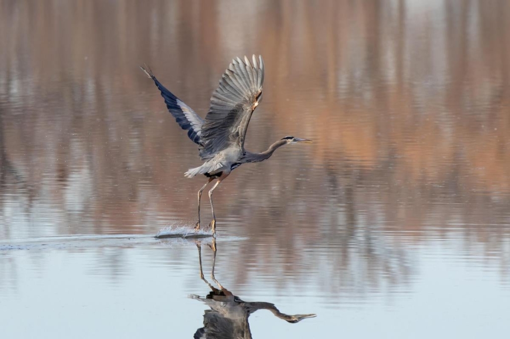 Синоптикиня назвала точну дату, коли в Україні трохи потеплішає 1 Нефото Pixabay