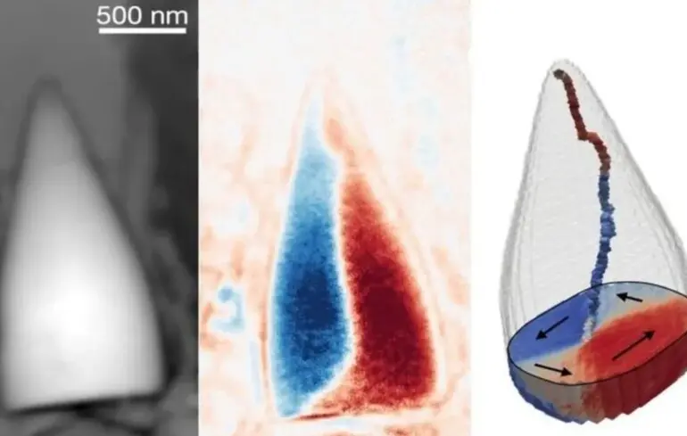 Скам'янілості з GPS на океанському дні - знайдено нові докази давньої магніторецепції - новини науки 1