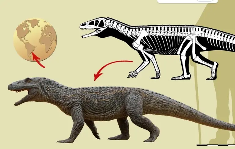 Стародавній ящір-воїн - учені знайшли скам'янілість попередника динозаврів 1