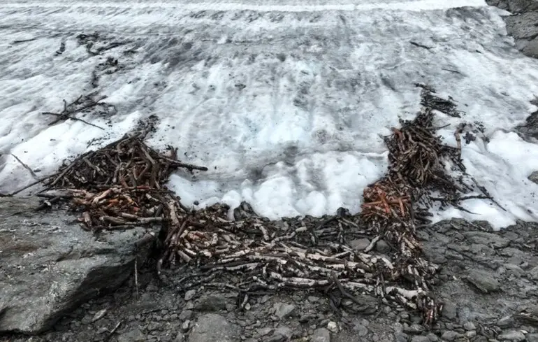 Стародавня пастка для оленів - учені знайшли незвичайні артефакти під льодами Норвегії 1