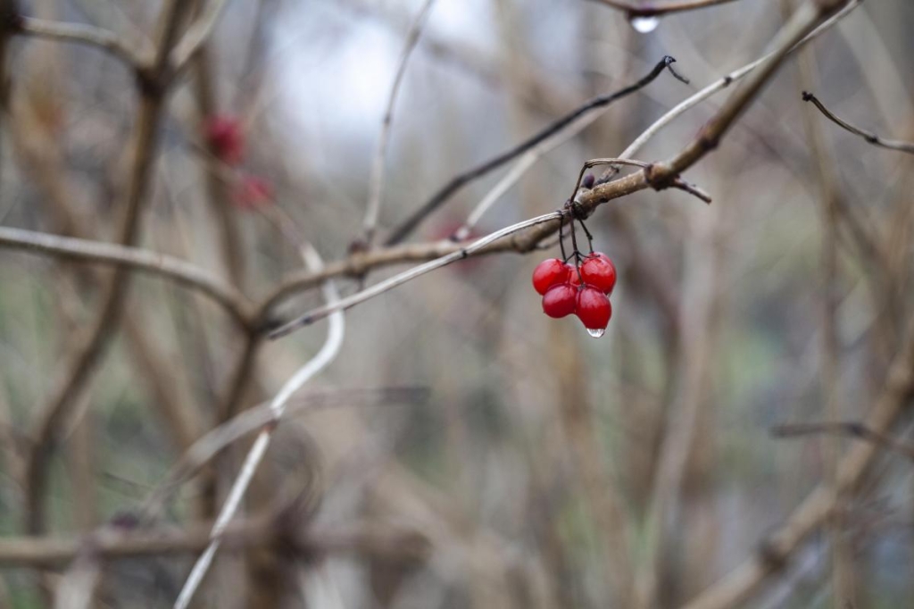  / фото freepik.com