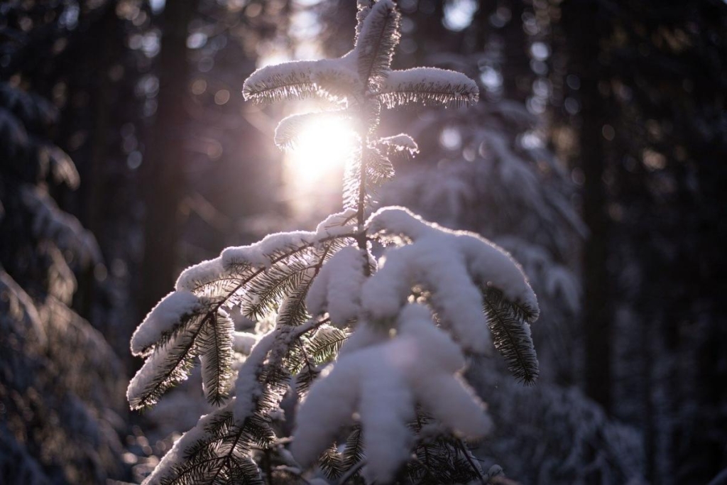 Синоптики розкрили, якою буде погода 23 листопада / фото Pixabay