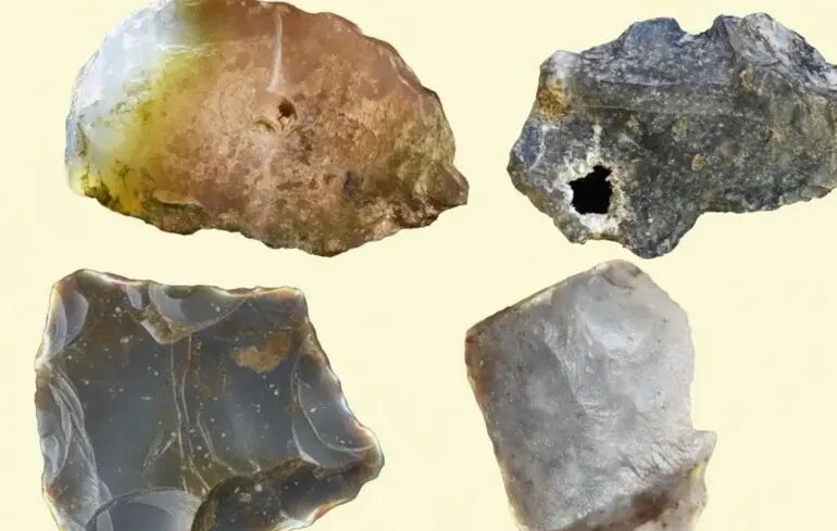 Відкриття в Кенії змінює уявлення про еволюцію - люди виготовляли інструменти ще 2,75 млн років тому - новини археології 1