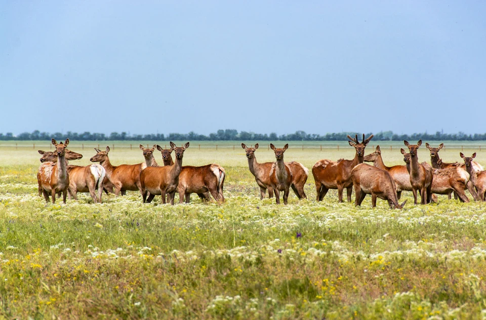 Вже не буде як раніше: еколог про нову географію України із зонами відчуження 3