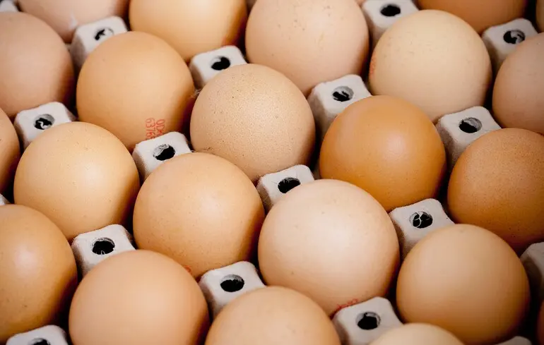 Євросоюз тимчасово забороним ввезення українських яєць через порушення стандартів 1