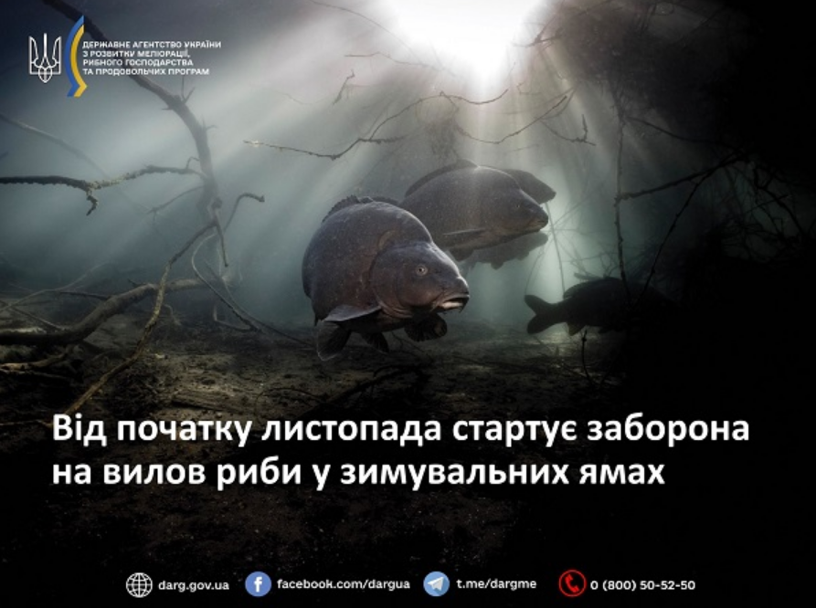 Заборона на вилов риби у зимувальних ямах в Україні діє з 1 листопада - де можна ловити, правила 2