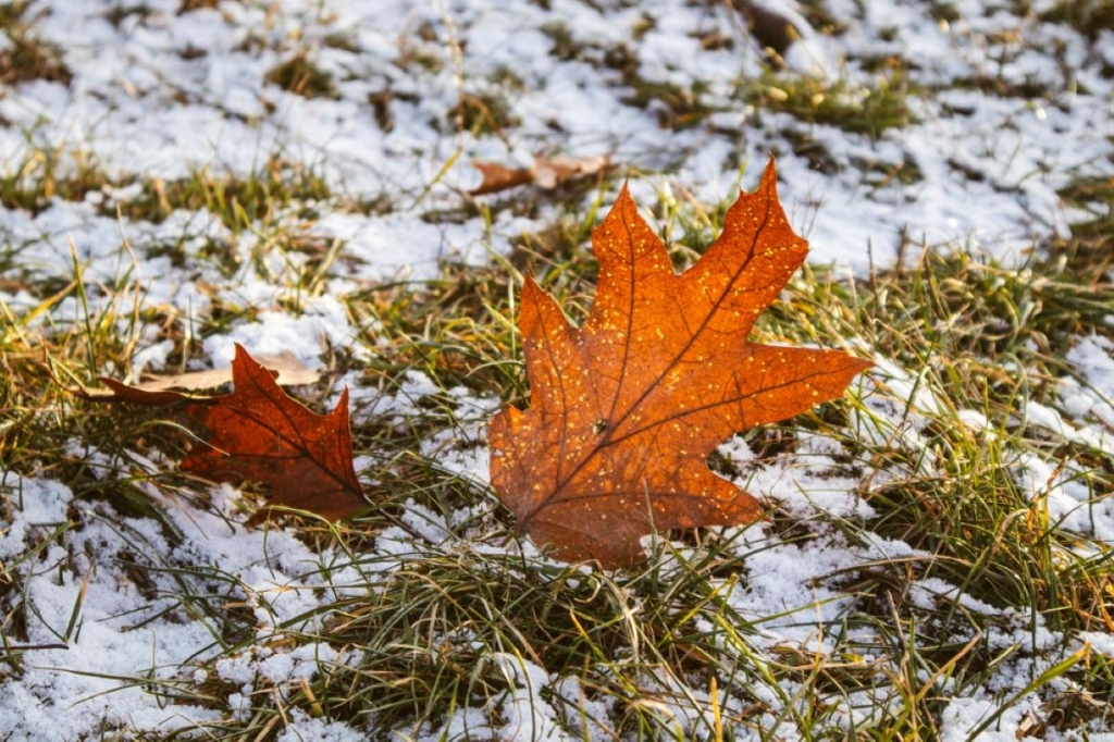 У ua.depositphotos.com