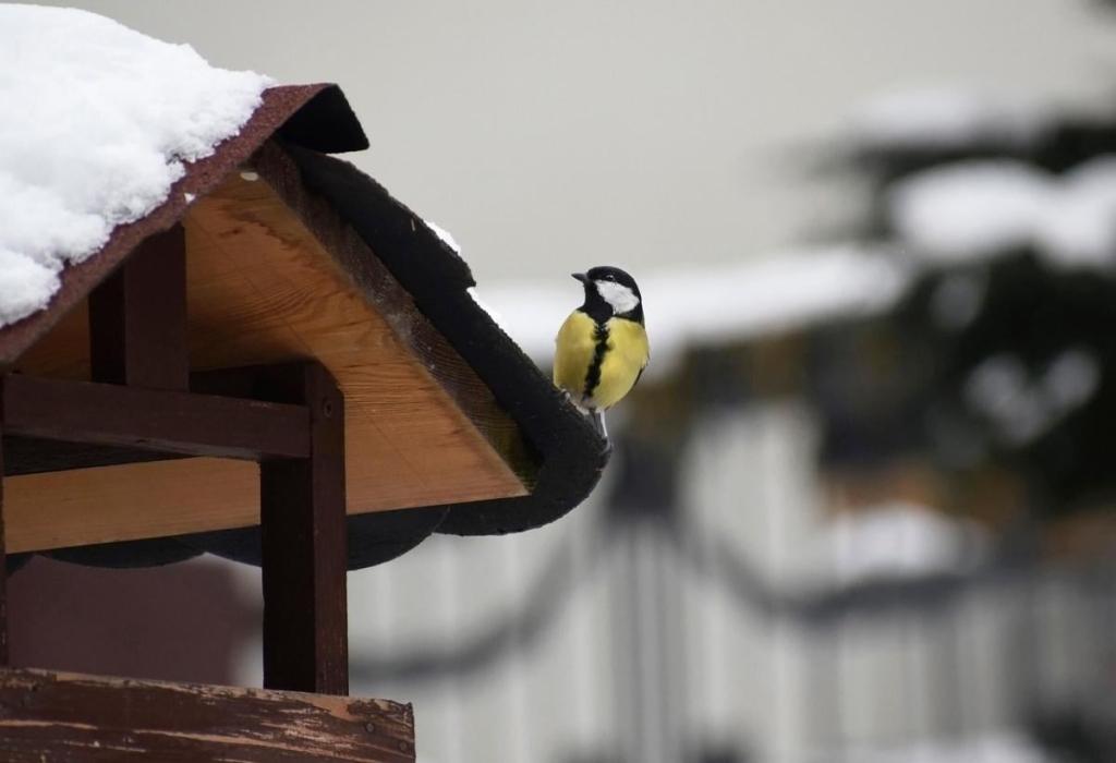 27 грудня до України повернеться невеликий 'плюс'