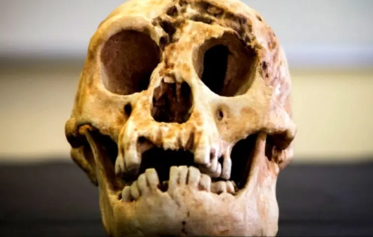 Чому вимерли гобіти - посуха змусила маленьких людей конкурувати з Homo sapiens Чому вимерли гобіти - посуха змусила маленьких людей конкурувати з Homo sapiens 1