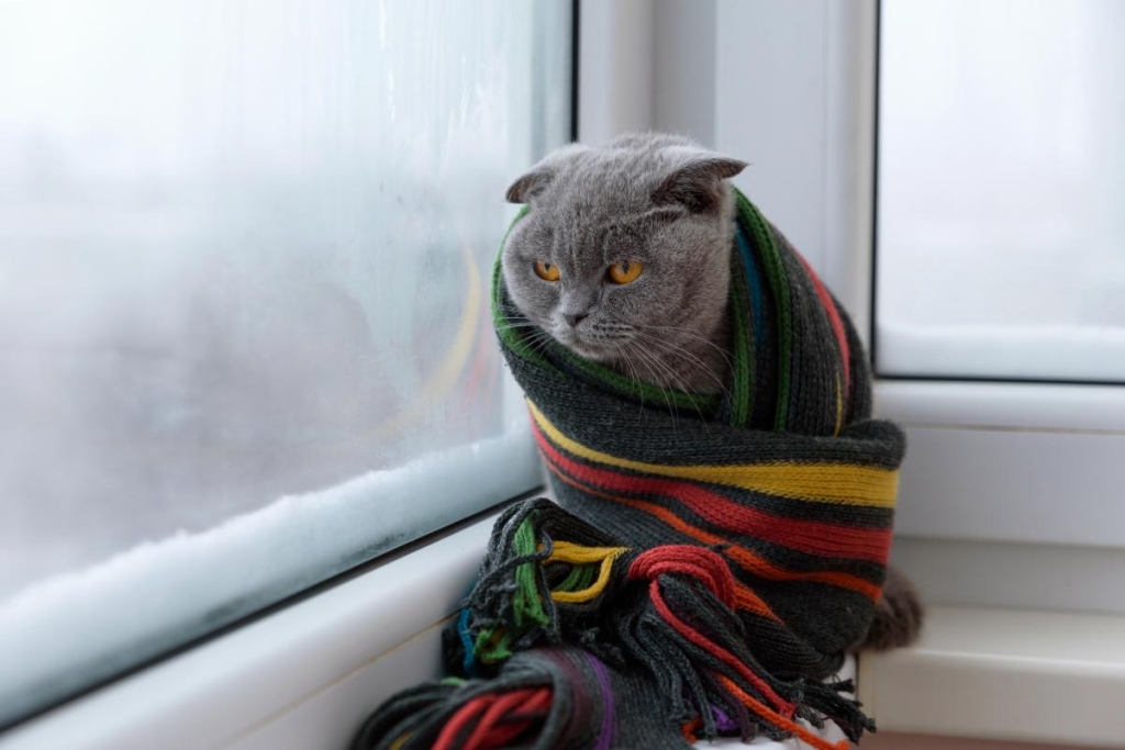 Нефото ua.depositphotos.com