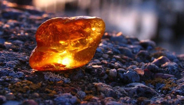 Хто скуповував українські надра у 2025: п'ять найдорожчих ліцензій 3