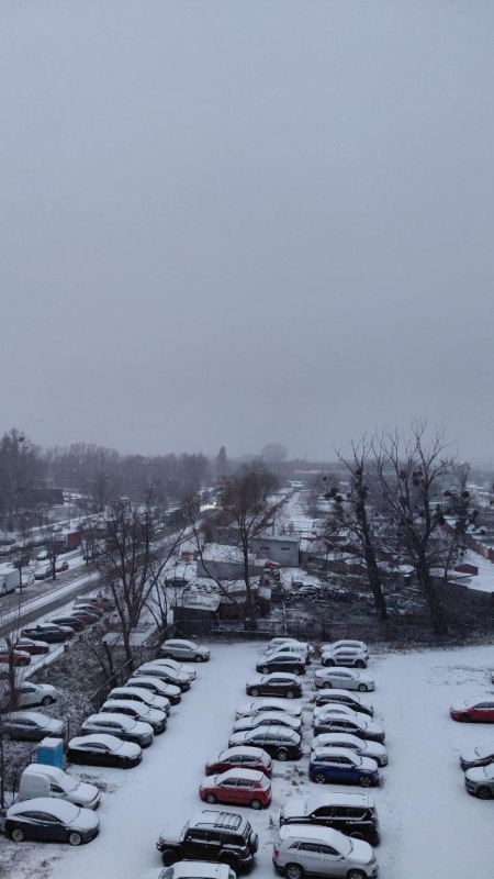 Київ засипало першим снігом (фото)