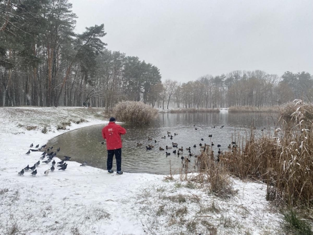 Київ засипало першим снігом (фото)
