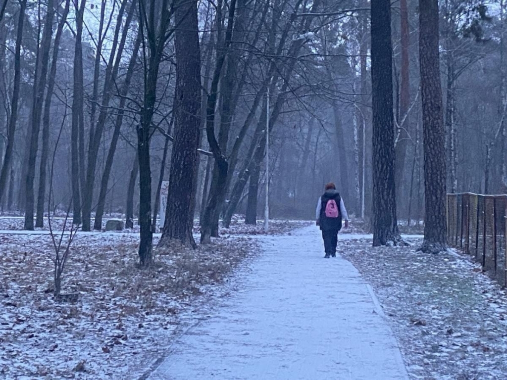 Київ засипало першим снігом (фото)