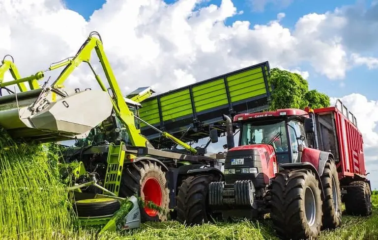 Коноплі та горох - в Мінекономіки вважають, що переробна промисловість повинна стимулювати аграріїв 1