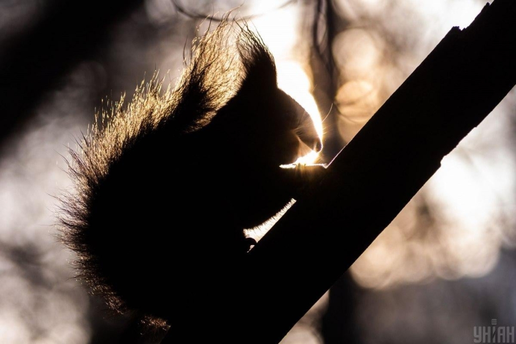 1фото УНІАН