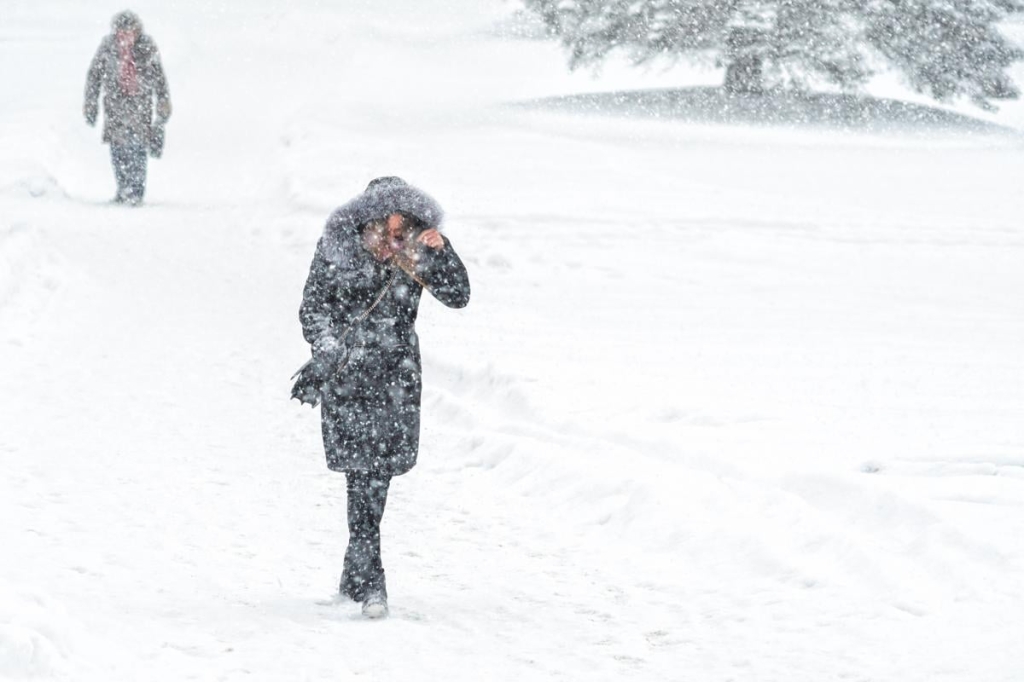 В фото ua.depositphotos.com