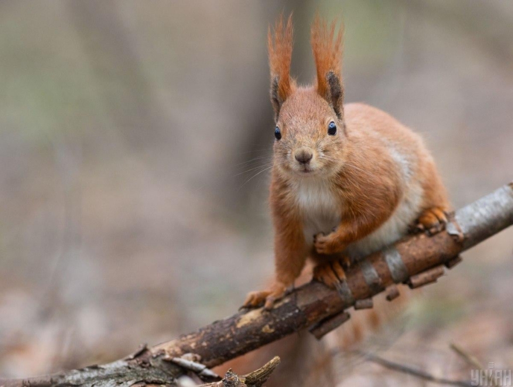 Погода з понеділка принесе потепління / фото УНІАН