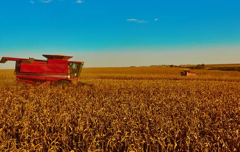 Врожай в Україні - логістика корегує прибутки 1