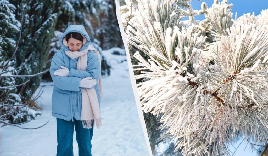 Синоптики дали прогноз погоди на лютий 2026: коли потеплішає і скільки буде снігу