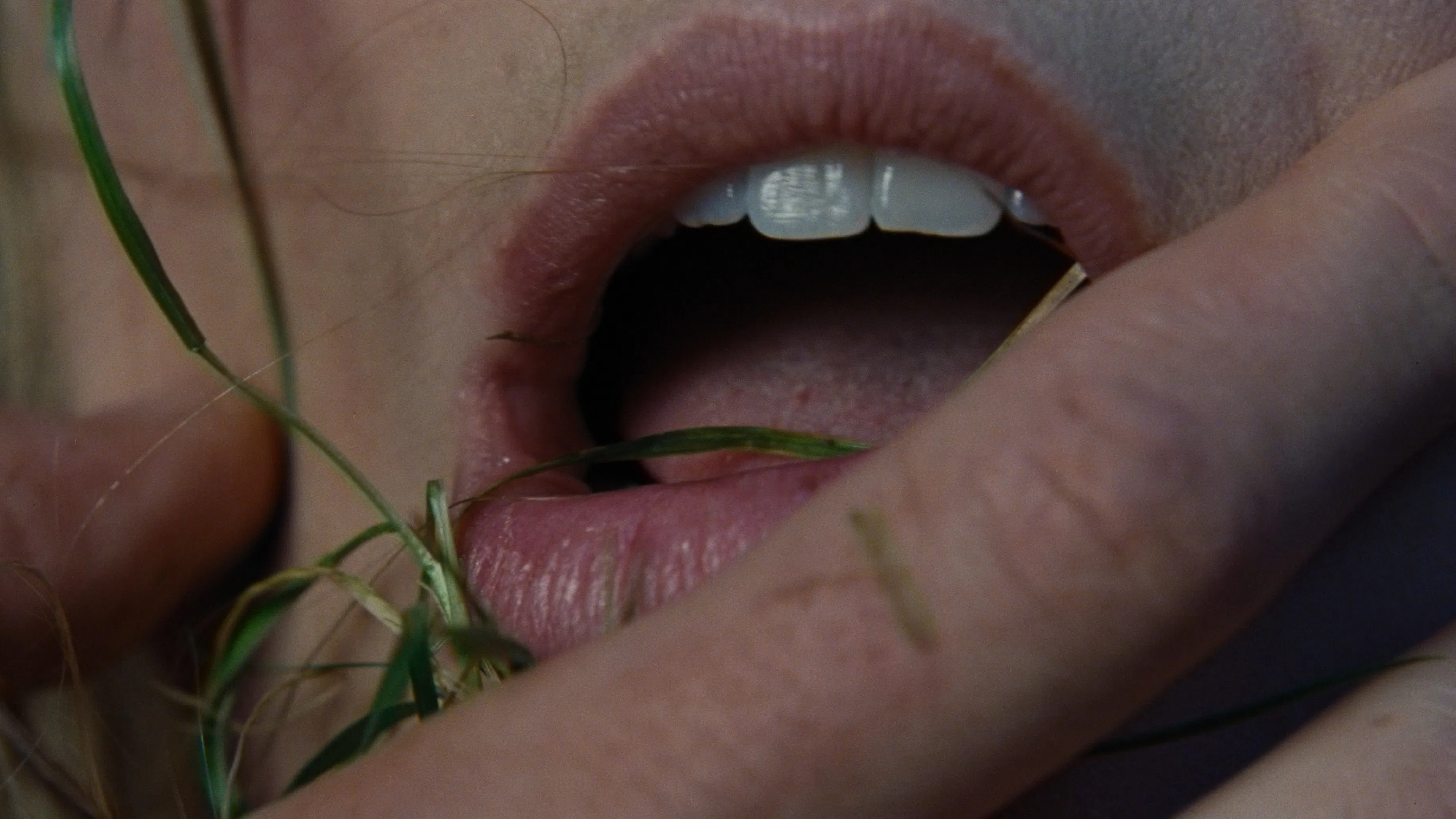 Буремний перевал - Марго Роббі та Джейкоб Елорді оживляють роман Емілі Бронте 5