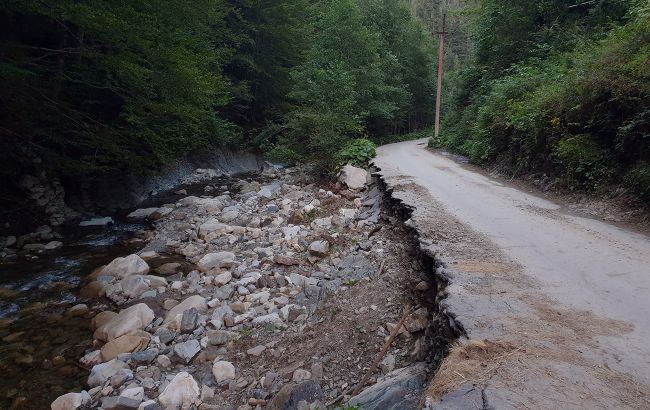 Дорога в Буковель та відбудова Бородянки: ЗМІ дізналися про інтереси Бойка - топчиновника Держвідновлення 1