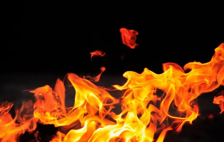 Дослідники вважають, що еволюцію людини могло стимулювати використання вогню. Вони пов'язують імунітет та природний відбір із здатністю контролювати полум'я. 1