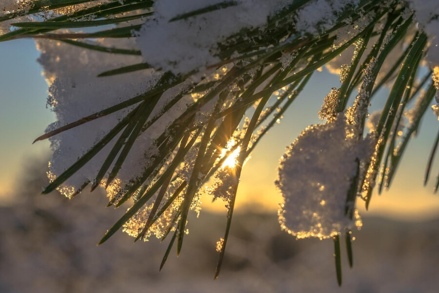 Генеральний директор Центру громадського здоров'я розповів про способи запобігання переохолодженню. 1