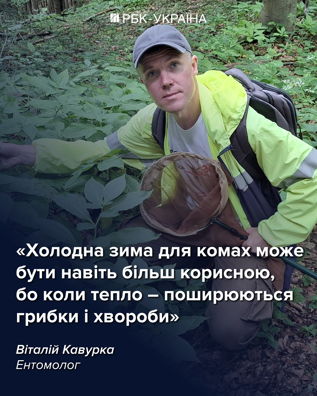 Як морози рятують комах від загибелі: неочевидні факти про "шкідників" та запилювачів 3