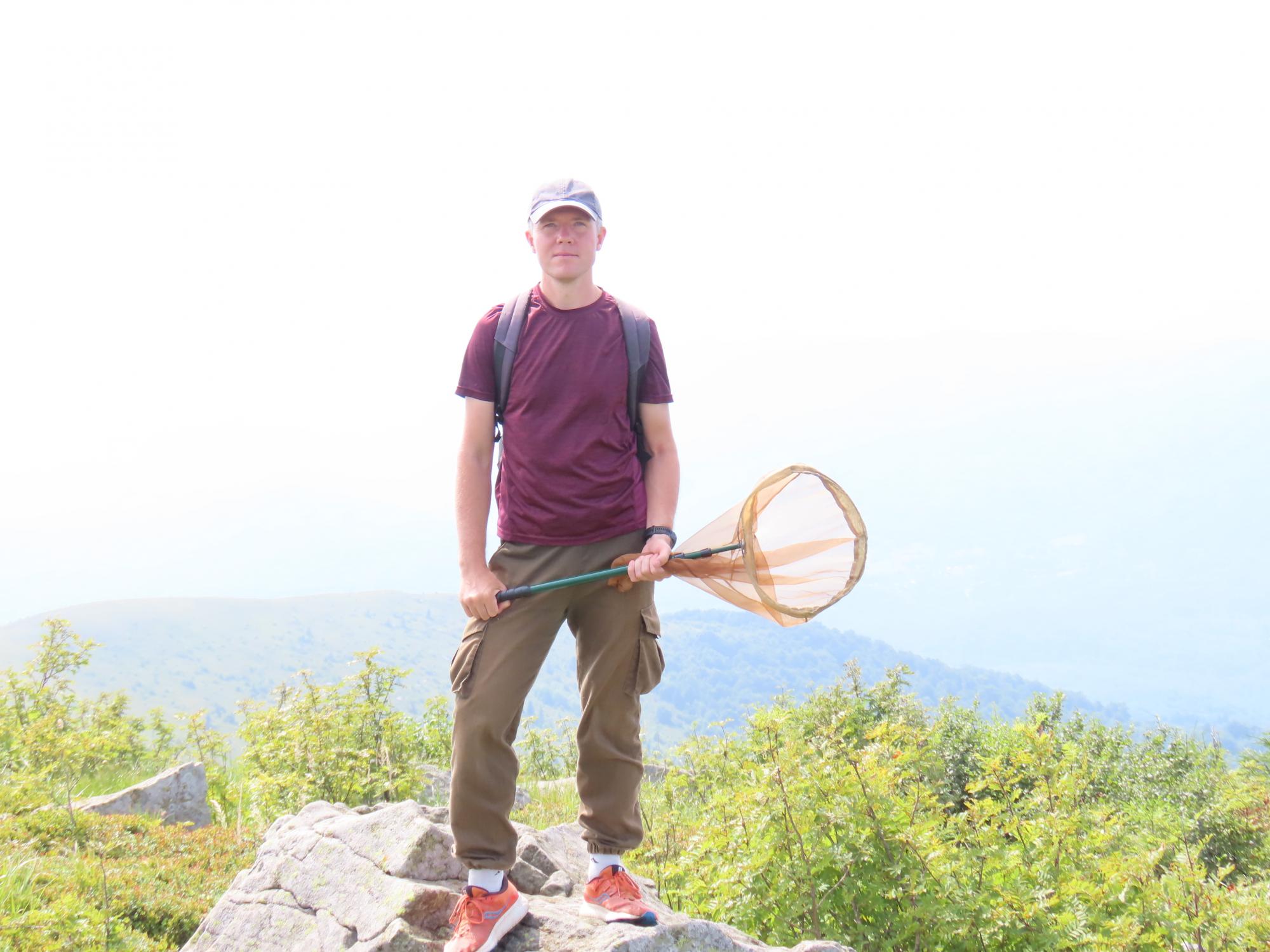 Як морози рятують комах від загибелі: неочевидні факти про "шкідників" та запилювачів 4