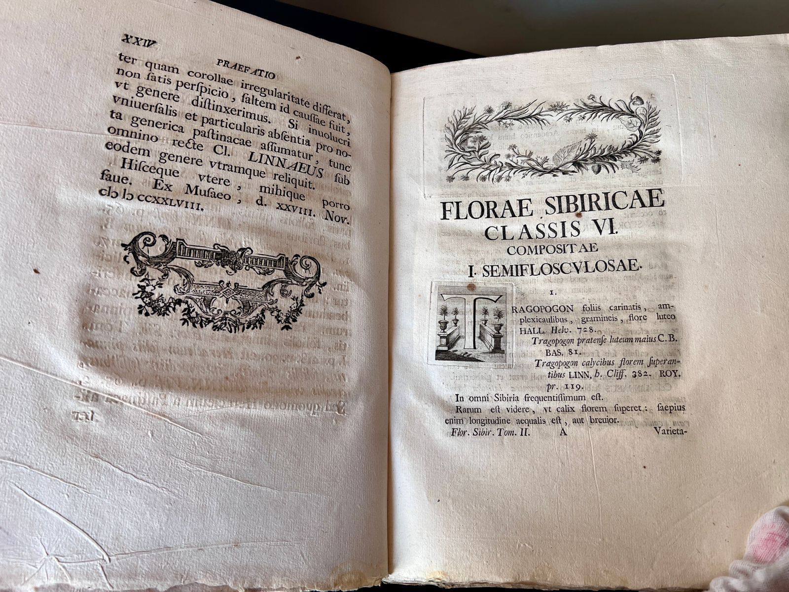 Книгу XVIII століття хотіли незаконно вивезти до Ірландії - артефакт передали Одеській національній науковій бібліотеці - новини України 3
