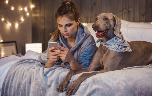 Компенсація грошей від "Ощадбанку" й "Укренерго"? Як працює нова пастка шахраїв 1