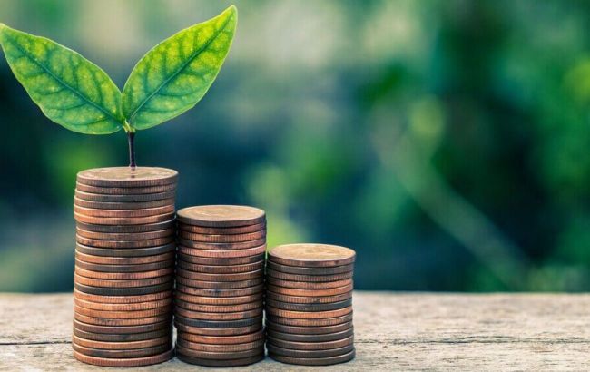 Квіти, ремонти, каналізація: на що в Україні витрачають кошти екоподатку 1