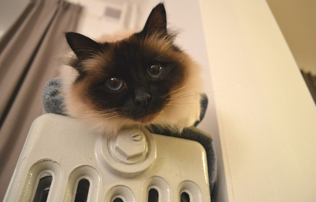 Лікар Стойка дав рекомендації щодо одягу та утеплення приміщення, щоб уникнути переохолодження. 1